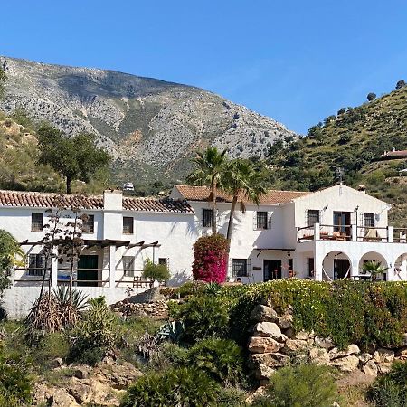 Cortijo Las Palmeras El Chorro Alora Buitenkant foto