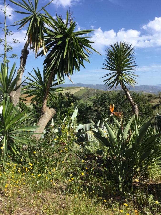 Cortijo Las Palmeras El Chorro Alora Buitenkant foto